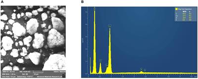 Copper Nanoparticles Induced Genotoxicty, Oxidative Stress, and Changes in Superoxide Dismutase (SOD) Gene Expression in Cucumber (Cucumis sativus) Plants